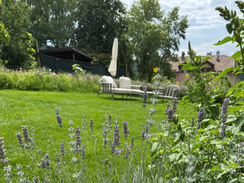 AMISTAR GARDEN - Picknicken & Kräutertour