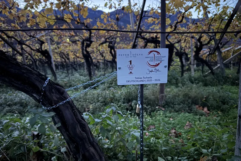 Tobias Tschada Germania 2025 -2026