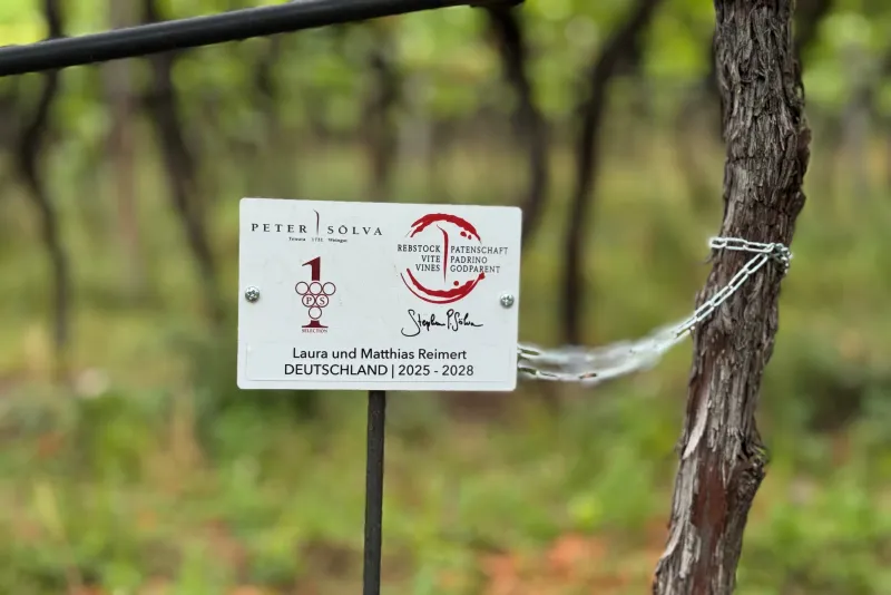 Laura & Matthias Reimert Germania Padrino 2025 / 2028