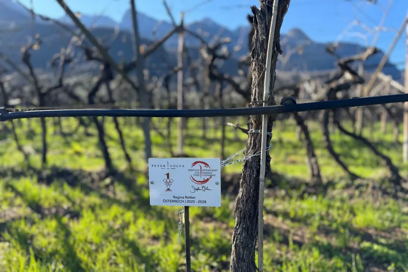 Regina Reitter 2024 - 2028 Austria