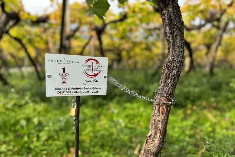 Johann & Andreas Beckenlehner Germania 2025 -2026