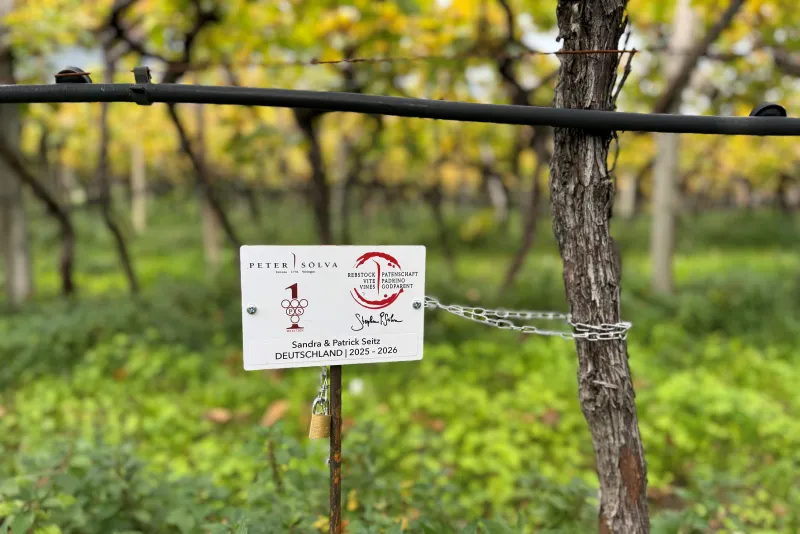 Sandra & Patrick Seitz Germania 2025 -2026