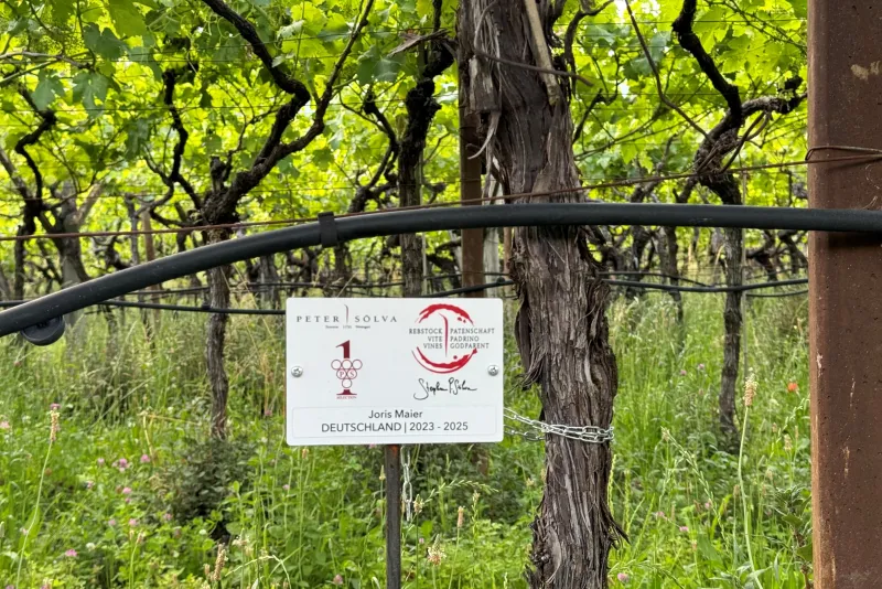 Joris Maier - Germania 2023-25