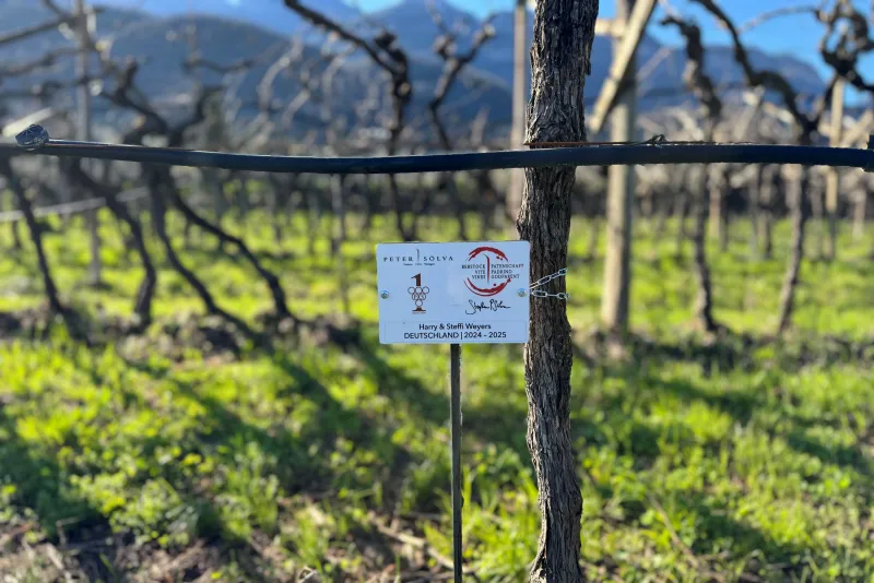 Harry & Steffi Weyers 2024 - 2025 Germania