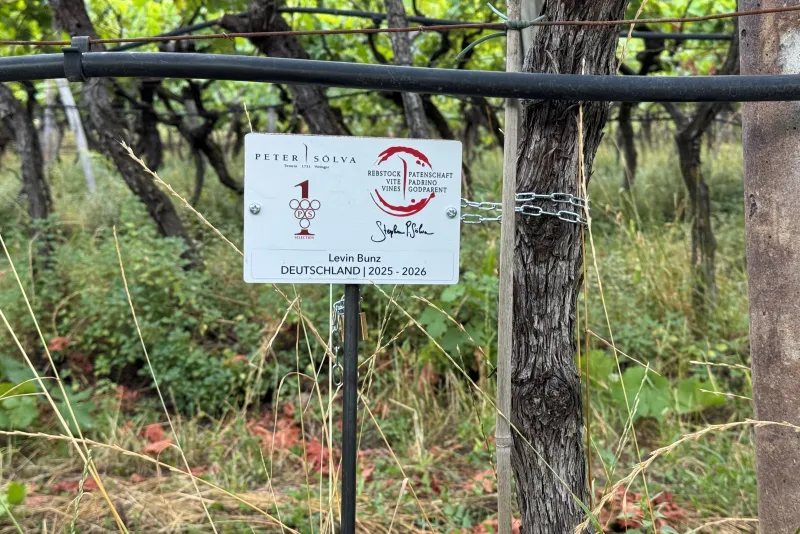 Levin Bunz Germania Padrino 2025 / 2026