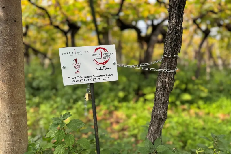 Chiara Calabrese & Sebastian Sieber Germania 2025 -2026