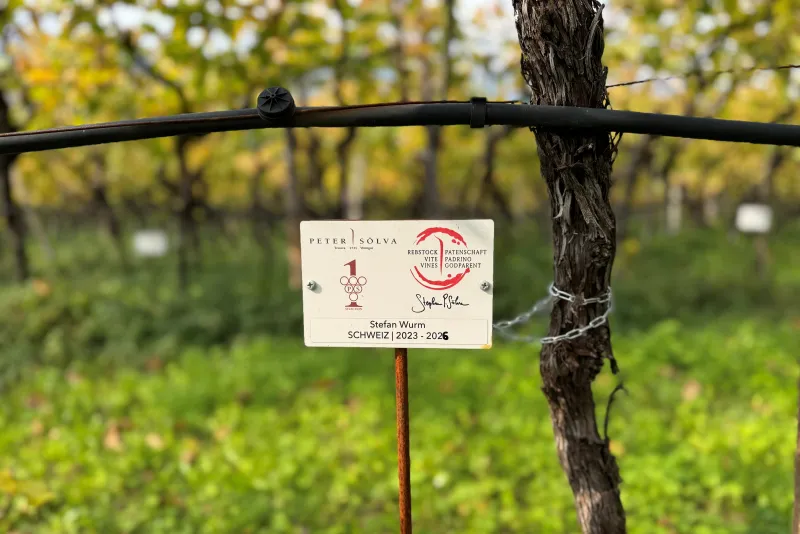 Stefan Wurm Schweiz Estensione 2023 - 2026