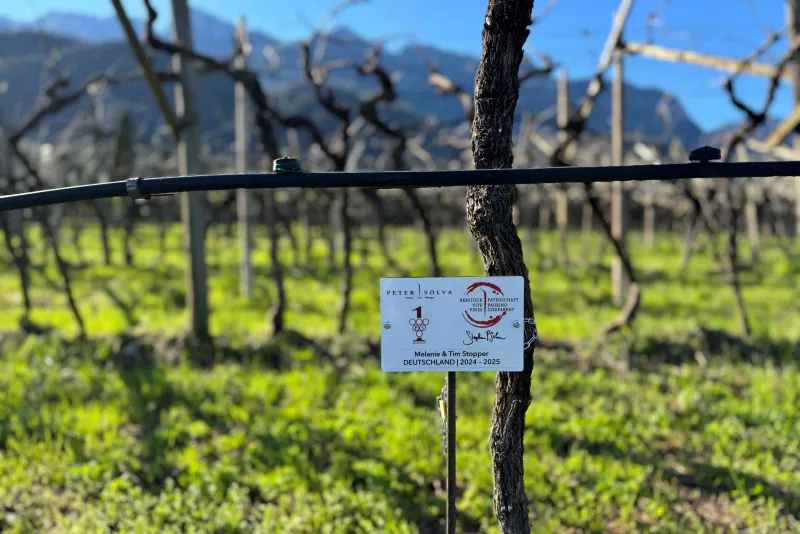 Melanie & Tim Stopper 2024 - 2025 Germania