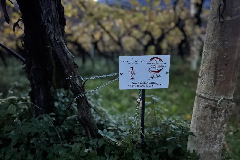 Arne & Andrea Goldau Germania 2025 - 2026