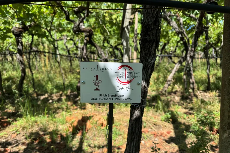 Ulrich Brandhuber Germania Padrino 2025 / 2026