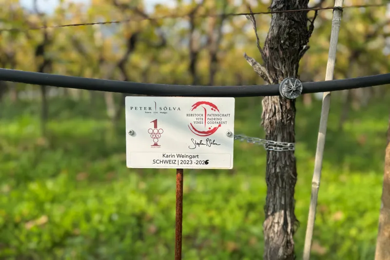 Karin Weingart Schweiz Estensione 2025 - 2026