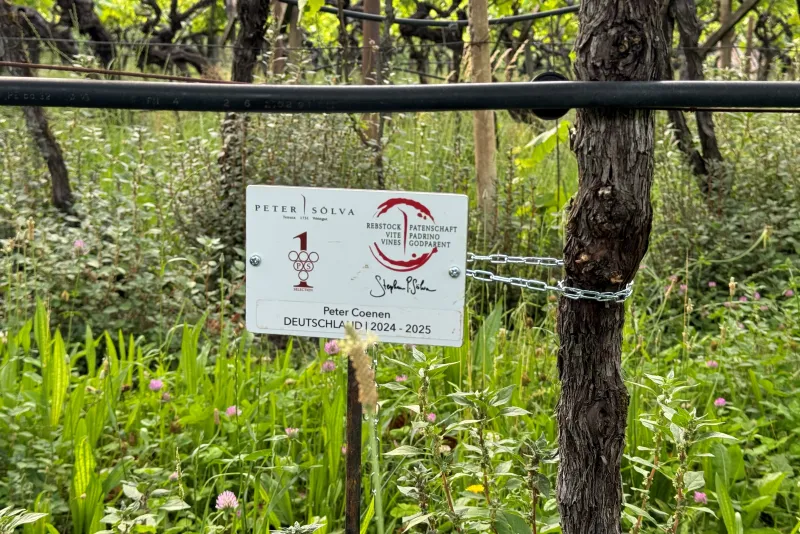 Peter Coenen - Germania 2024-25