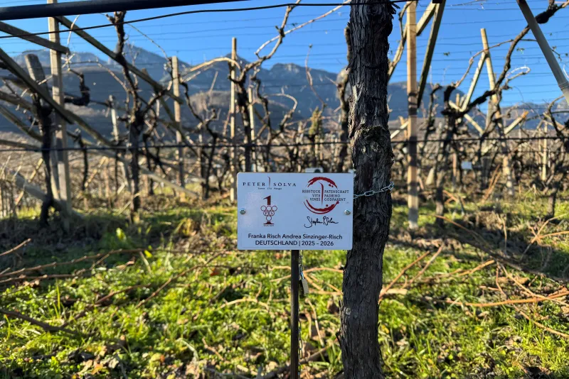 Franka Risch Andrea Sinzinger-Risch Padrino 2025 - 2026