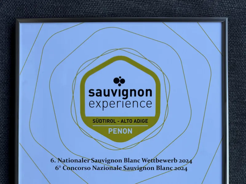 Sauvignon Experience 2024